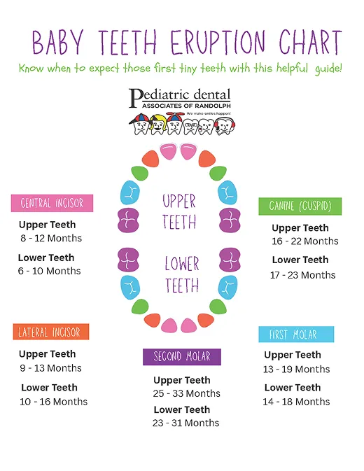 chart of baby teeth eruption